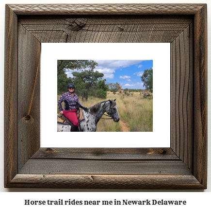 horse trail rides near me in Newark, Delaware